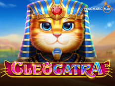 Cats casino. Vawada com casino resmi web sitesi.77